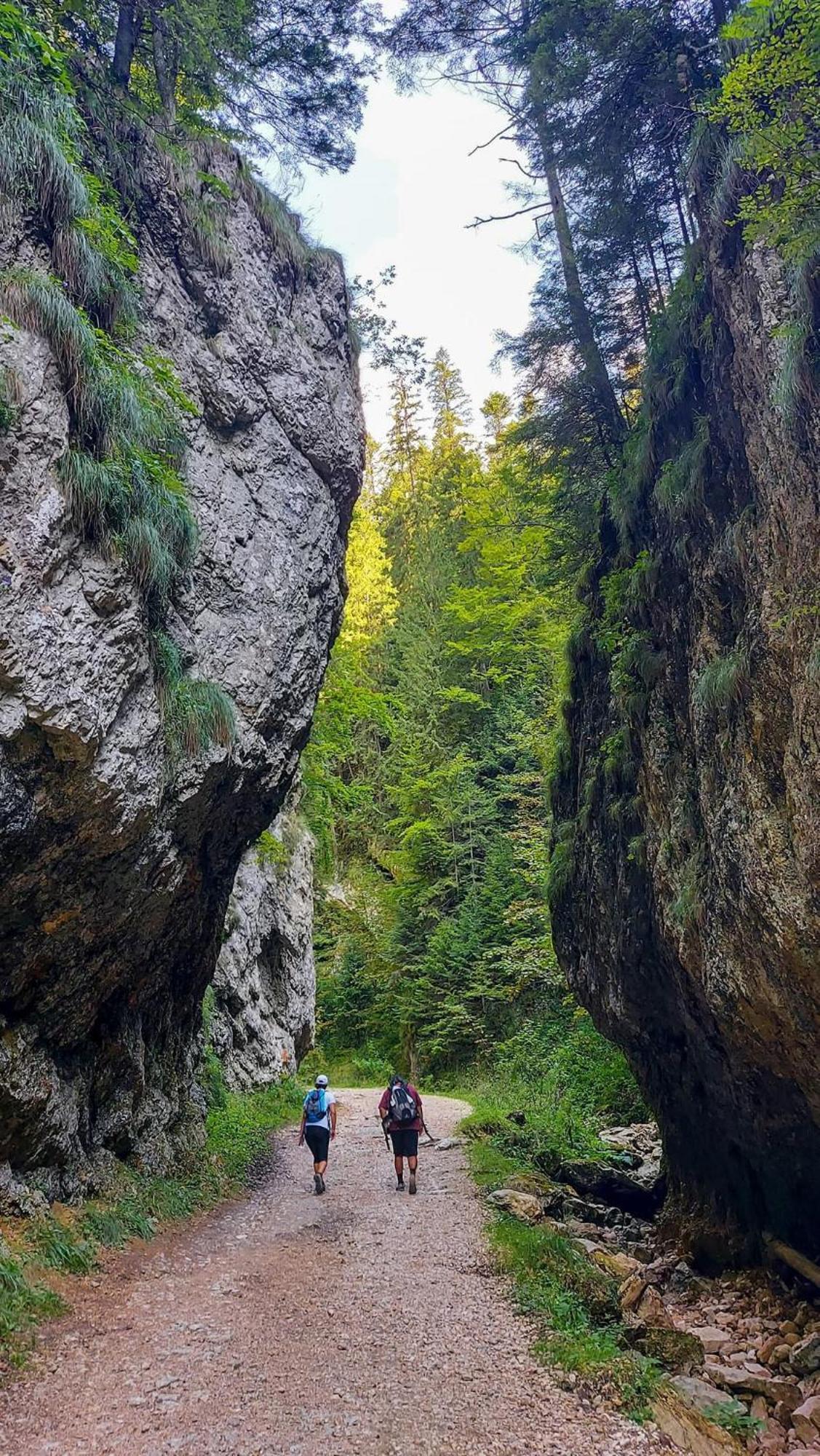 Cazare Zorilor Zărneşti Rum bild