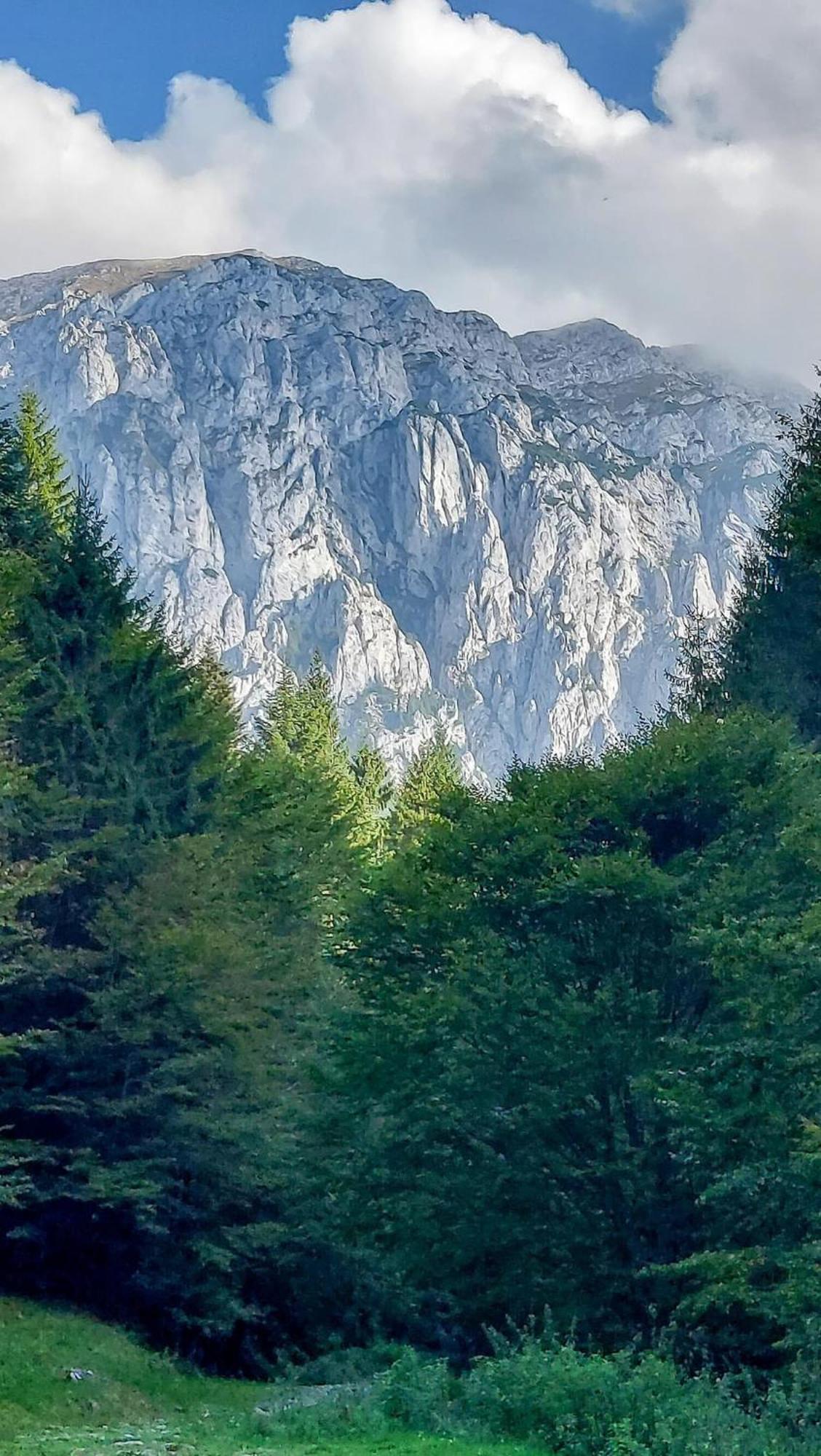 Cazare Zorilor Zărneşti Rum bild