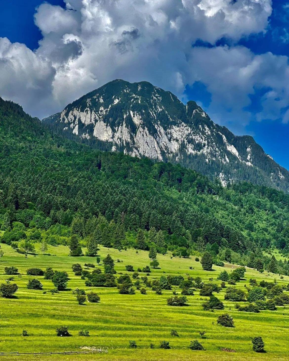 Cazare Zorilor Zărneşti Rum bild