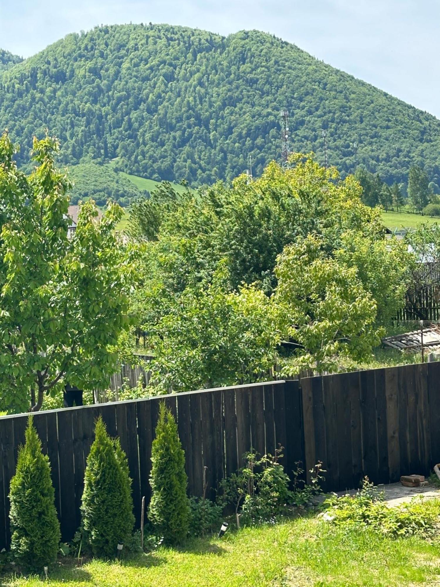 Cazare Zorilor Zărneşti Rum bild